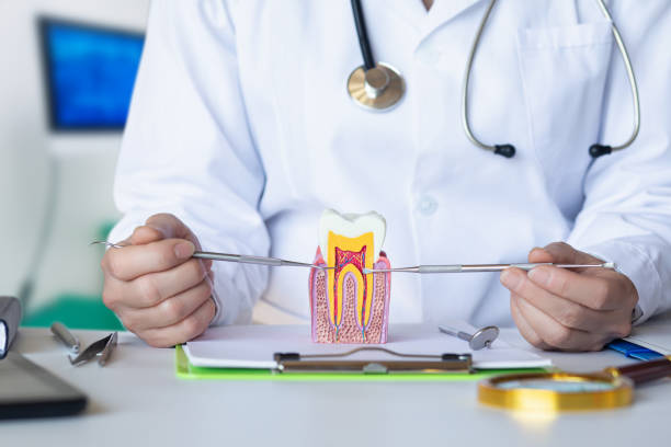 Best Cosmetic Emergency Dentistry in Forest Ranch, CA